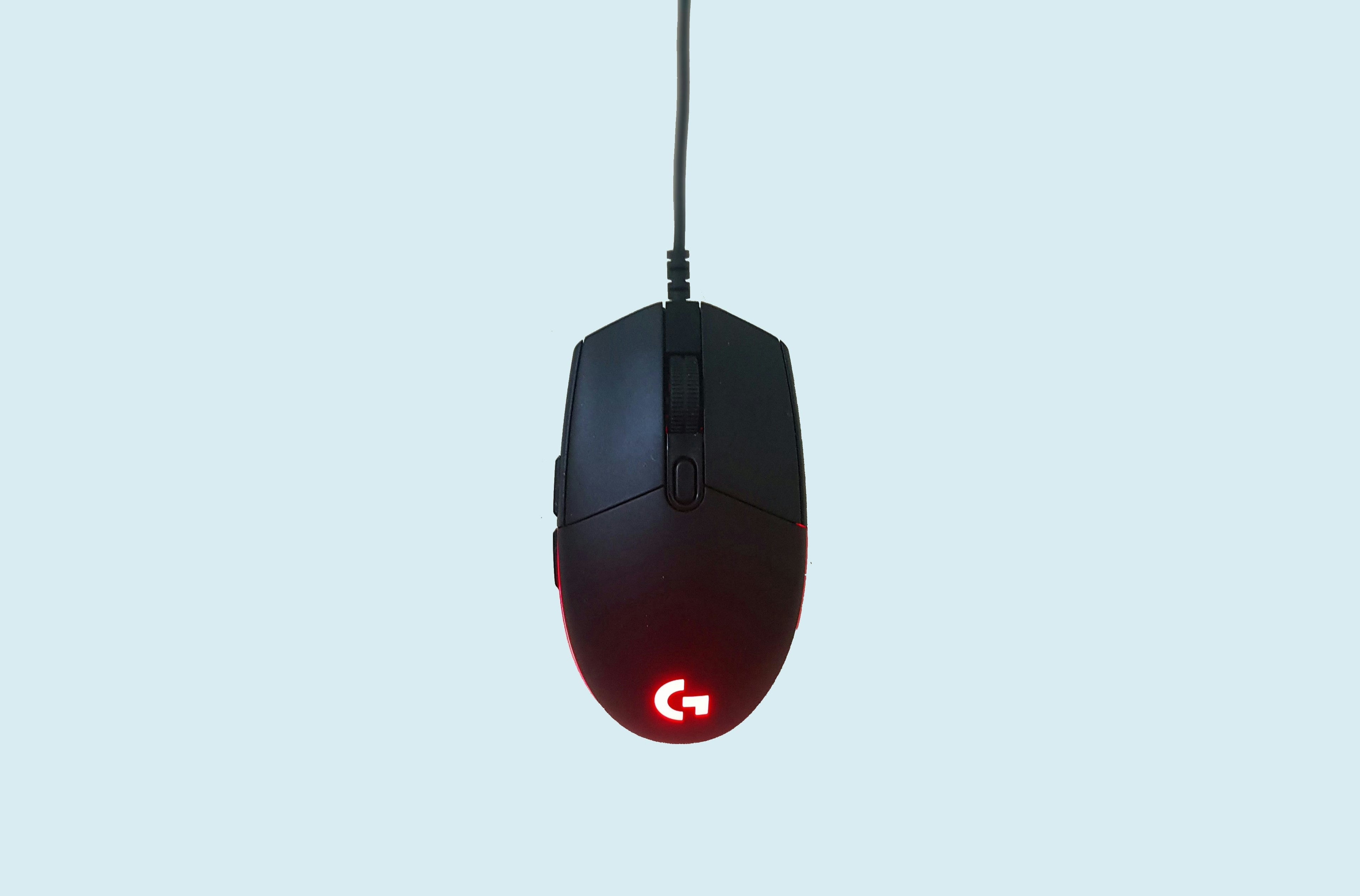 Mouse