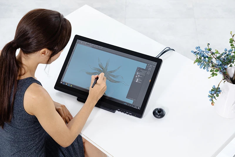 HUION Kamvas 20 19.5 inch Battery-free Graphics Tablet Monitor IPS With AG Glass 120%sRGB Pen Tablet Monitor