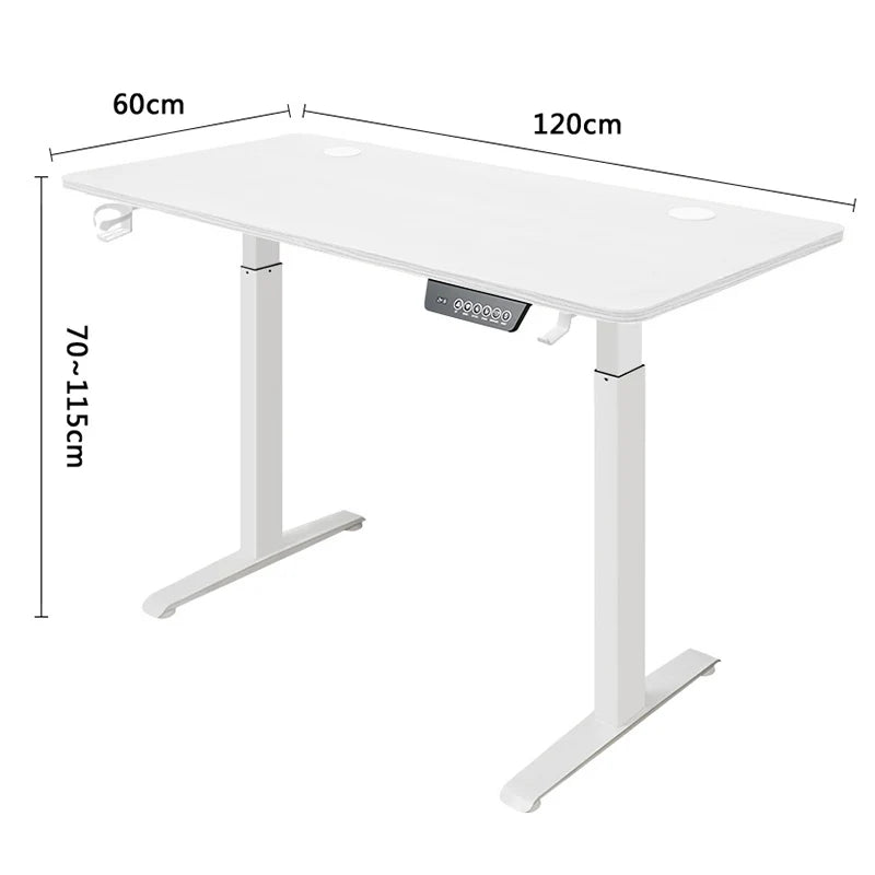 Height Adjustable Modern Office Desk - WinSupport Tech