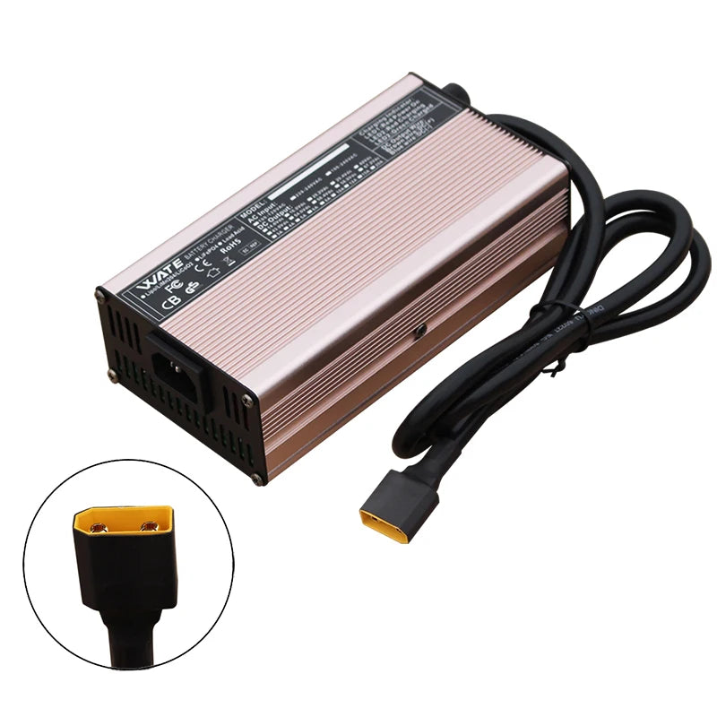 14.6V 25A Lifepo4 Charger 4S 12VCharger For Lithium iron Phosphate Battery Pack Smart Aluminum case