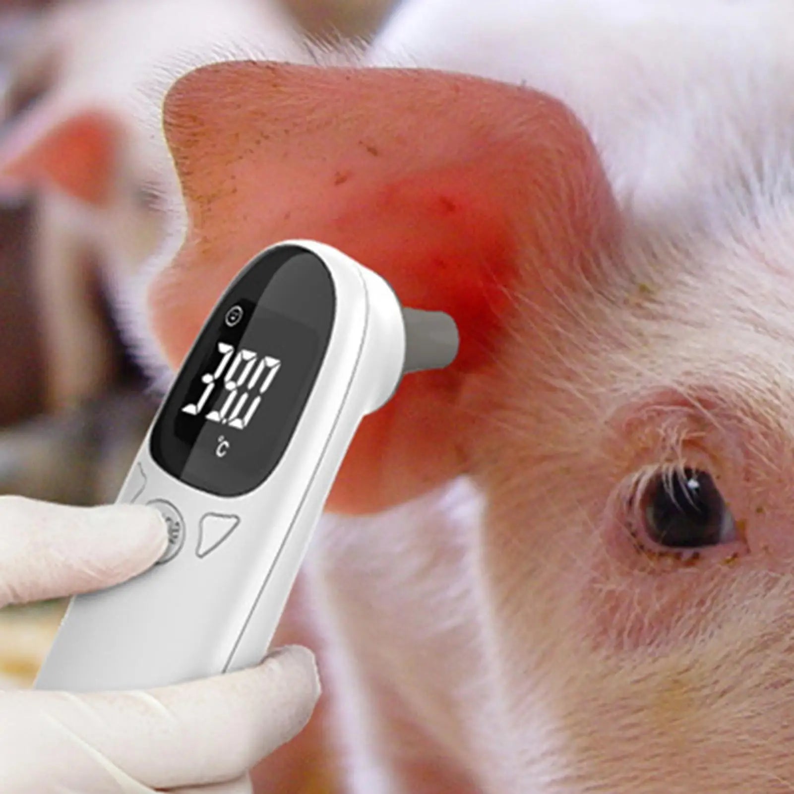 Infrared Pet Cat Dog Ear Thermometer Medical Animal Measuring Electronic Thermometer Non-contact Home Veterinary Equipment Quick
