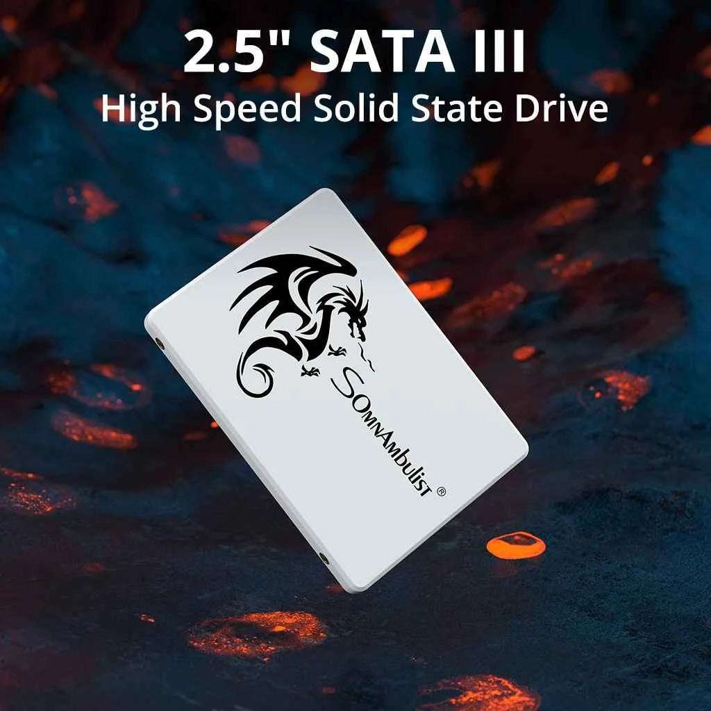 SomnAmbulist SSD 2.5 64GB 128GB 256GB 512GB for Laptop Desktop Solid State Drive Sata3