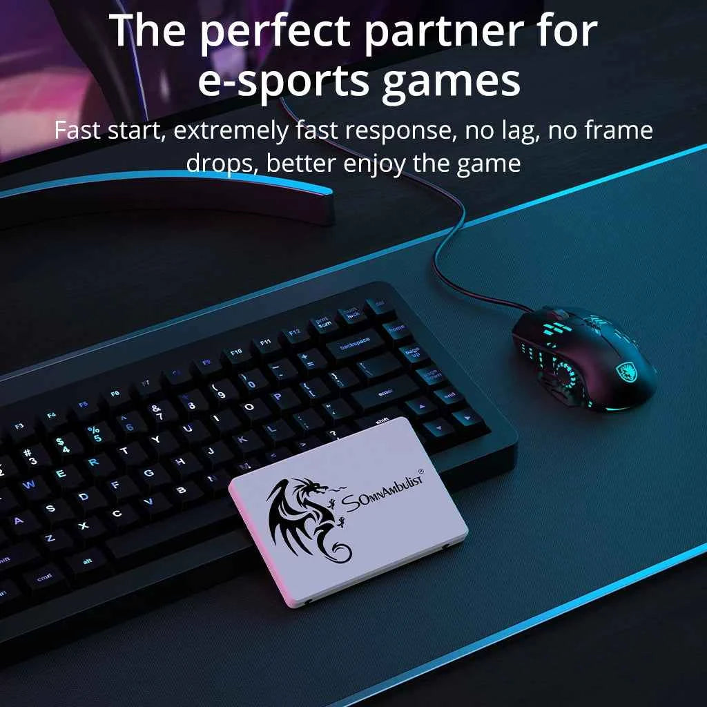 SomnAmbulist SSD 2.5 64GB 128GB 256GB 512GB for Laptop Desktop Solid State Drive Sata3