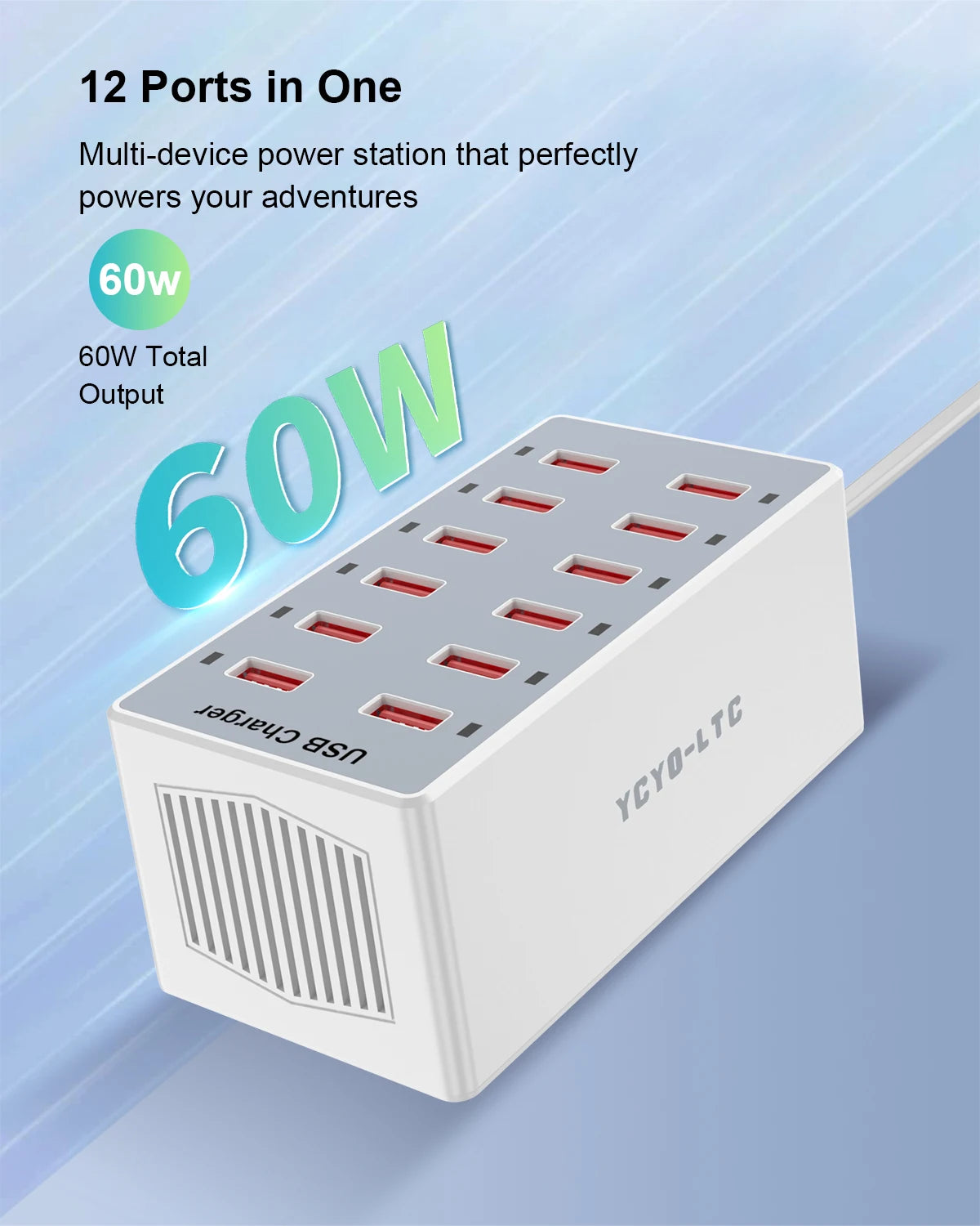 12 Port USB Charging Station 60W Smart Fast Charger US Plug Multi Port Desktop USB Charger for iPhone Samsung Android Phone Tablet