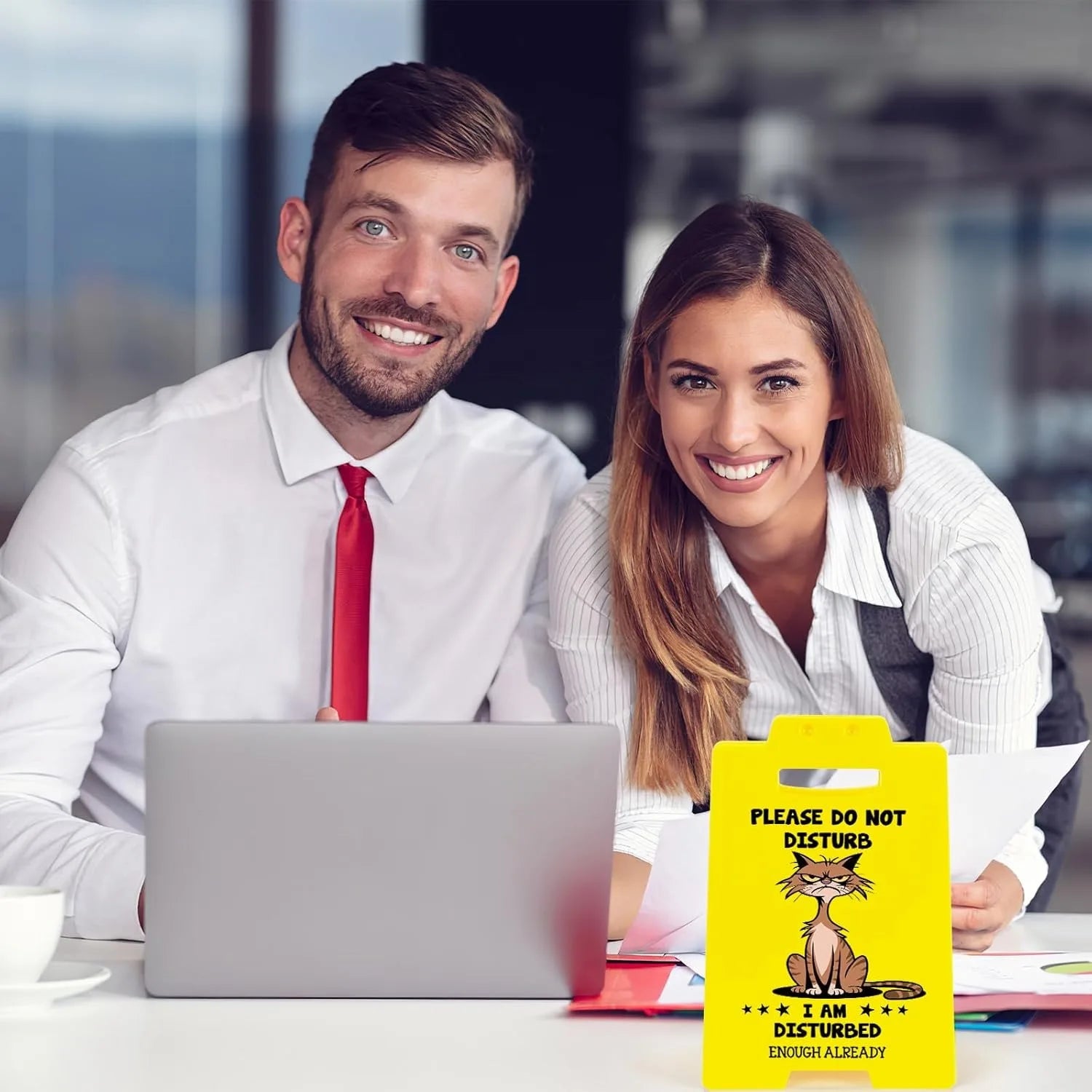 Funny Team Office Gifts - PLEASE DO NOT DISTURB, Funny Fun Gag Desk Sign Cubicle Decor for Coworker Teammate Employee Boss Birth