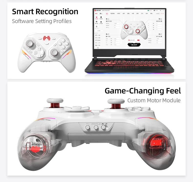 BEITONG PanGu Gamepad Customizable Modular Controller Wireless Bluetooth Gaming Controller for PC/NS2/Mobile/Steam