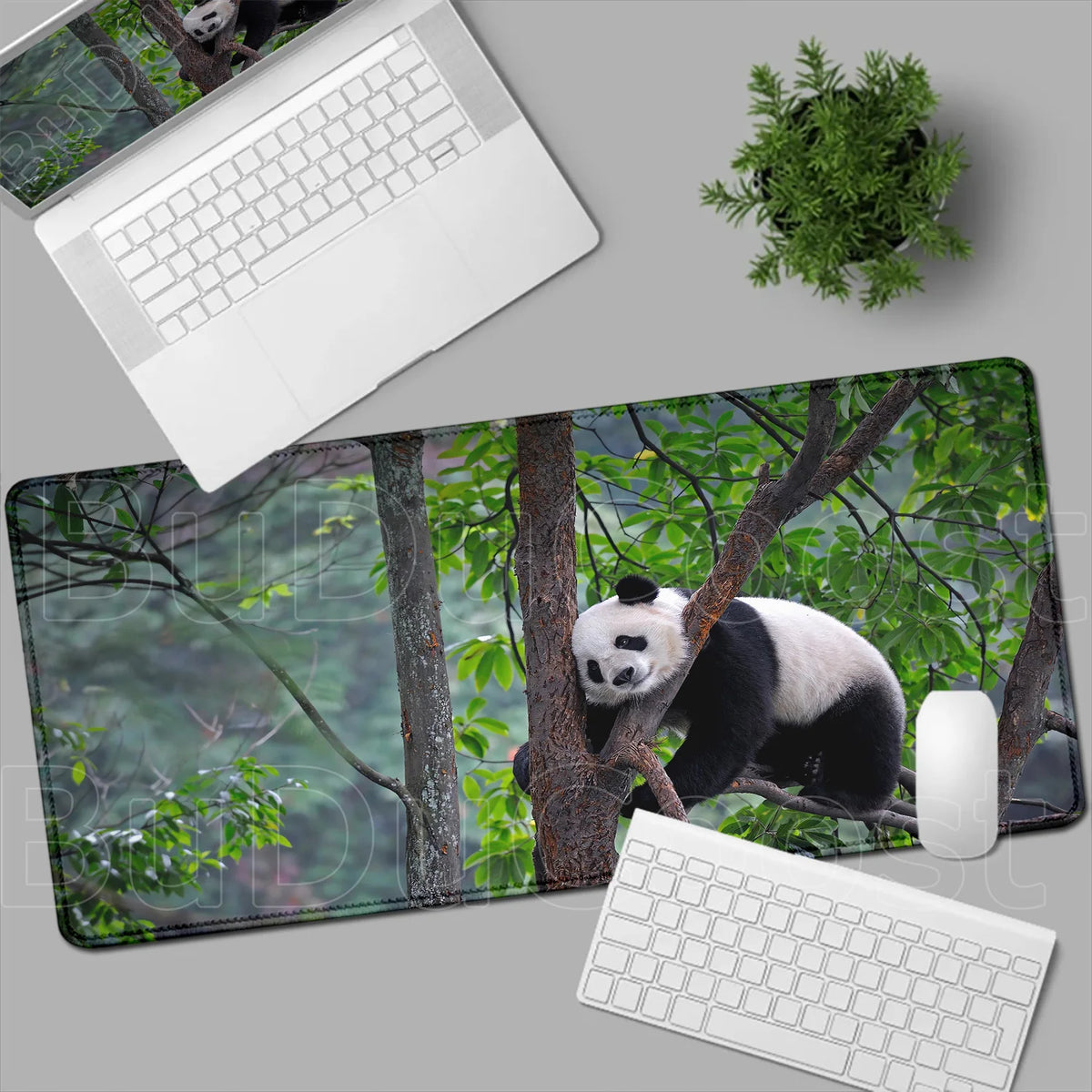 HD Printing Kawaii Anime Panda Mouse Pad Large Computer Office PC Game Table Mats XXL Gaming Keyboard Pad Cute Animals Desk Pads