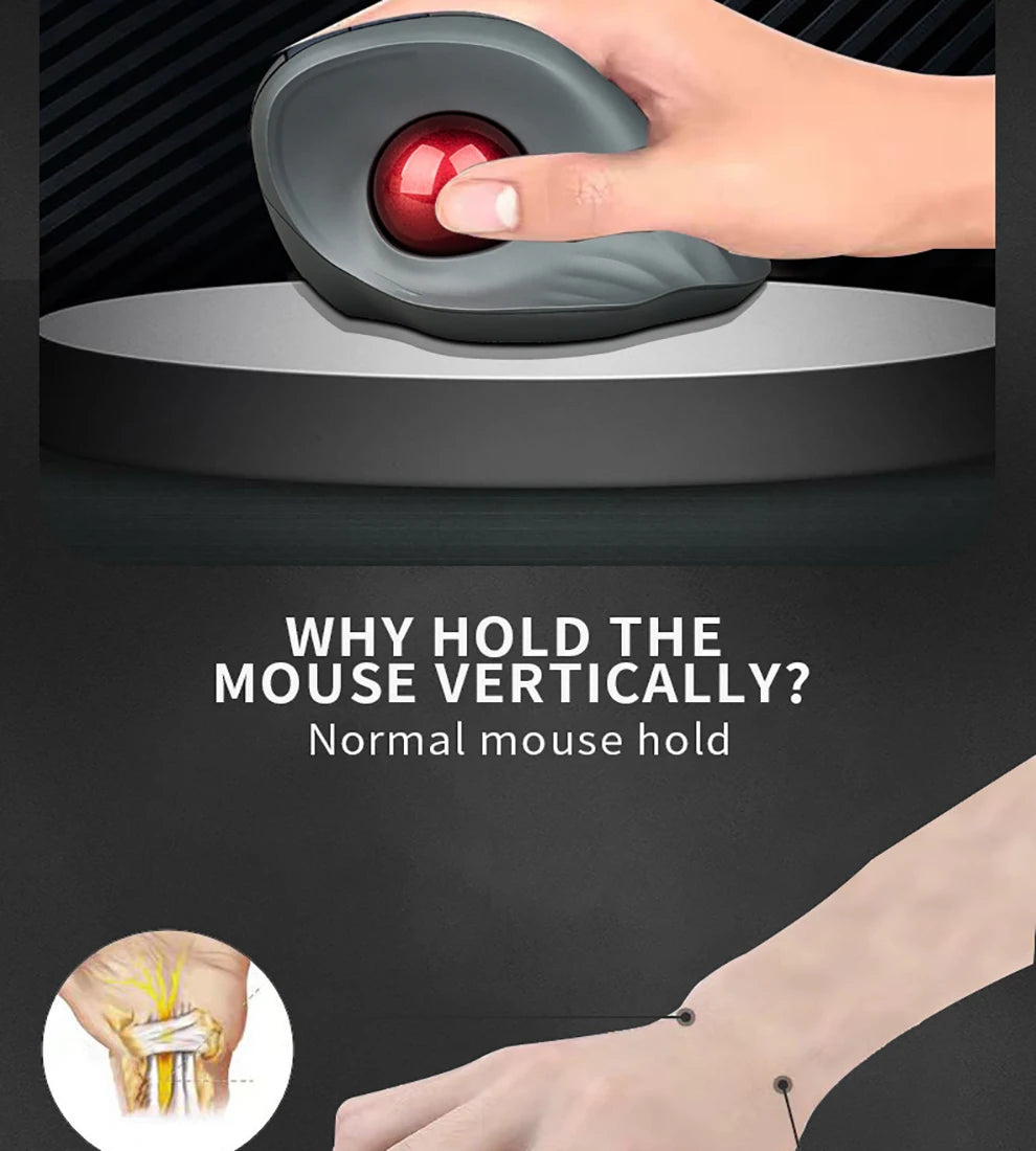 Ergonomic Bluetooth5.1 Dual Modes Wireless Vertical Trackball Mouse 1600DPI Rechargeable Silent Trackball Mice for Win/iOS