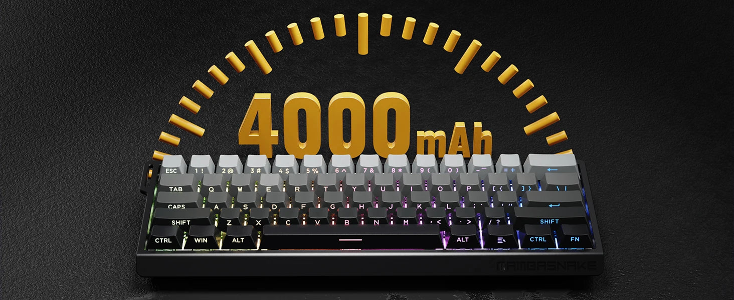X60 HE 60% Rapid Trigger Wireless Gaming Keyboard,Hall Effect Magnetic Switches,Adjustable Actuation,8KHz Polling Rate