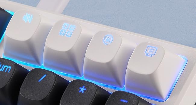 Redragon K668 Wired Gasket RGB Gaming Keyboard, 108 Keys Mechanical Keyboard w/Extra 4 Hotkeys, Upgraded Hot-swappable Socket